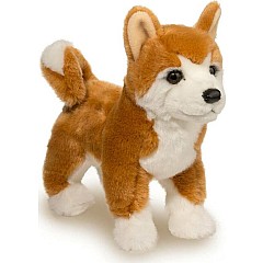 Dunham Shiba Inu