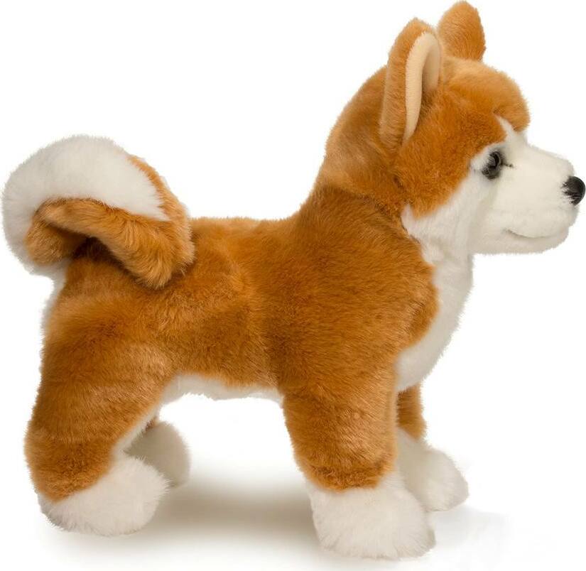 Dunham Shiba Inu