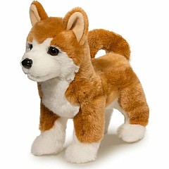 Dunham Shiba Inu
