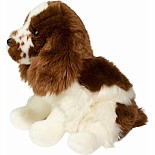 Chip Springer Spaniel
