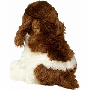 Chip Springer Spaniel