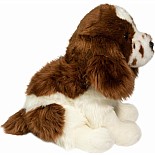 Chip Springer Spaniel