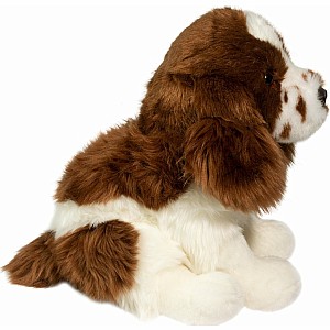 Chip Springer Spaniel