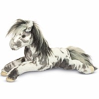 Starsky Appaloosa Horse*