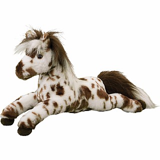 Duke Appaloosa Horse