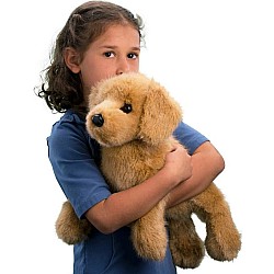 Oakley Golden Retriever