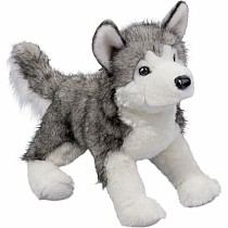 Lobo Husky, Large