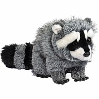Raccoon Dlux- Roz