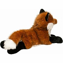 Fletcher Fox
