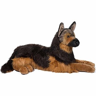 Major German Shepherd