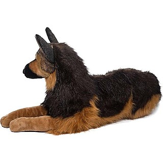 Major German Shepherd