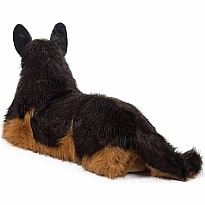 Major German Shepherd