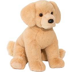 Denali Golden Retriever