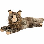 Oscar  Maine Coon Cat*