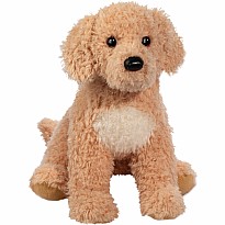 Noodle Goldendoodle