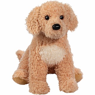 Noodle Goldendoodle