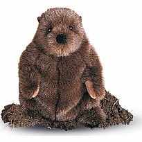 Chuckwood Groundhog