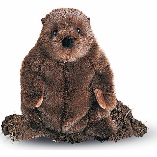 Chuckwood Groundhog