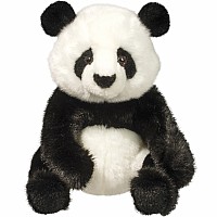 Paya Panda