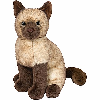 Chai Siamese Cat