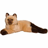 Himalayan Cat