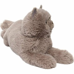 Juliette Persian Cat