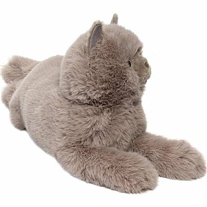 Juliette Persian Cat