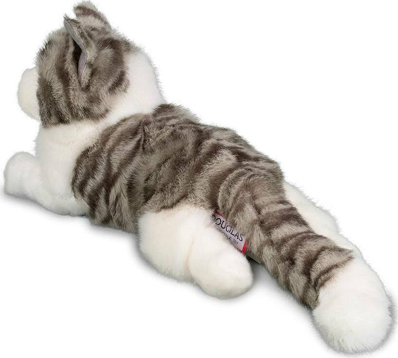 Smokey Gray Cat