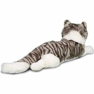 Smokey Gray Cat