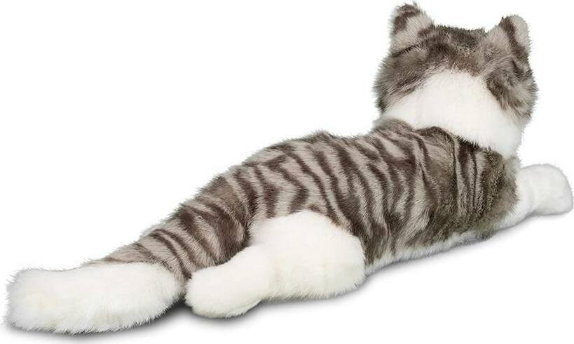 Smokey Gray Cat