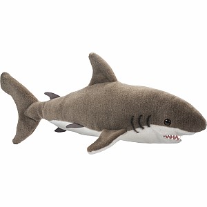 Fin Great White Shark