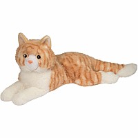 Cat Orange- Mango