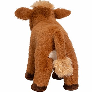 Belle Jersey Cow