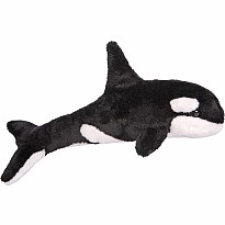 Spout Orca Whale