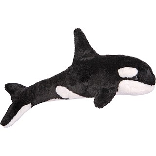 Spout Orca Whale