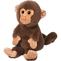 Skip Monkey