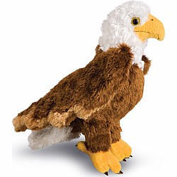 Colbert Eagle