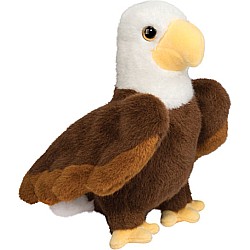 Windy Eagle