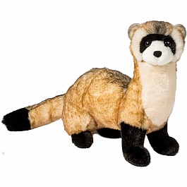 Vince Black Footed Ferret