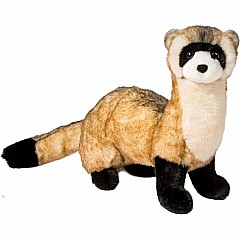 Vince Black-Footed Ferret