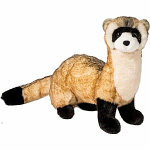 Vince Black-Footed Ferret