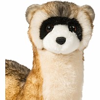 Vince Bl Foot Ferret