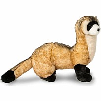 Vince Bl Foot Ferret