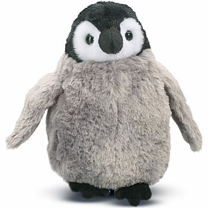 Cuddles Penguin Chick