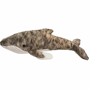 Archie Humpback Whale