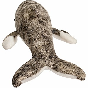 Archie Humpback Whale