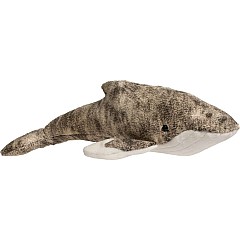 Archie Humpback Whale