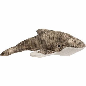 Archie Humpback Whale