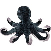 Winky Octopus