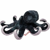 Winky Octopus